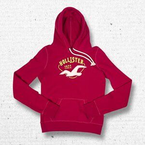 Y2K Women’s Pink Hollister Co. Hoodie